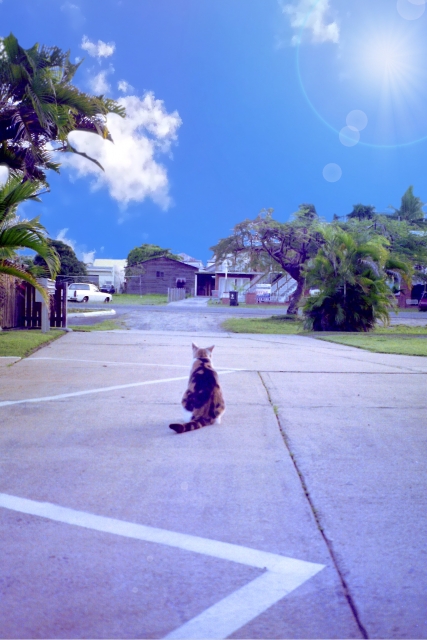 メディアテスト10メディアテスト10