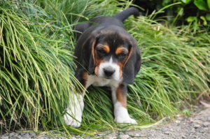 メディアテスト4メディアテスト4