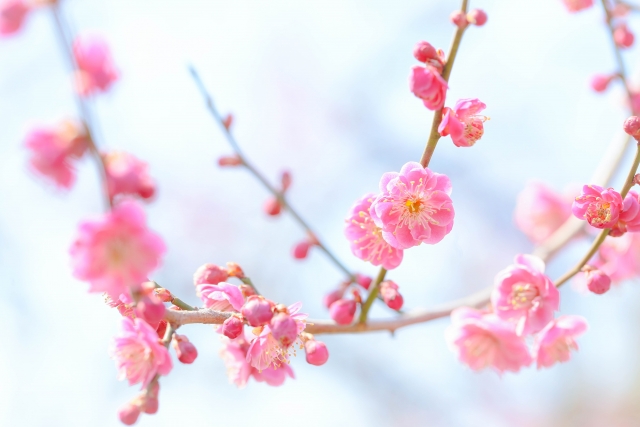 実績紹介テスト7